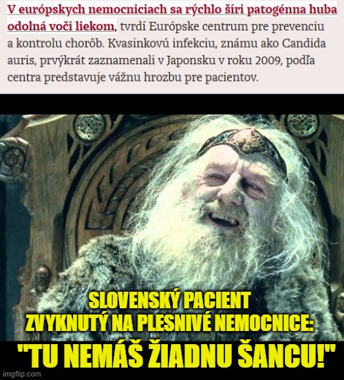 Príspevok 228505