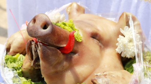 Kampaň vrcholí, Harabin už aj v letáku Kaufland